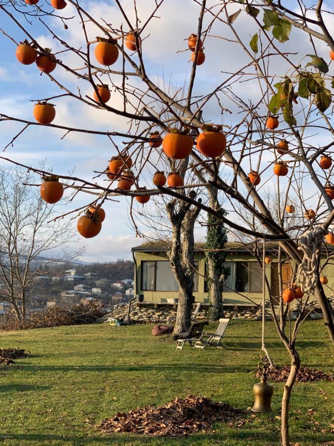 Cozy Cottage In Countryside Close To Tbilisi Dushet'i Exterior foto