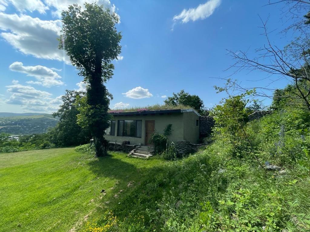 Cozy Cottage In Countryside Close To Tbilisi Dushet'i Exterior foto