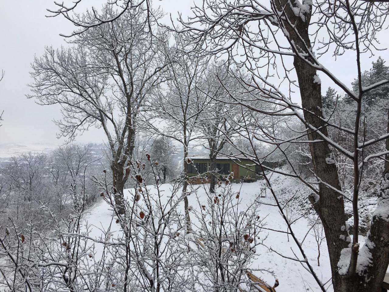 Cozy Cottage In Countryside Close To Tbilisi Dushet'i Exterior foto